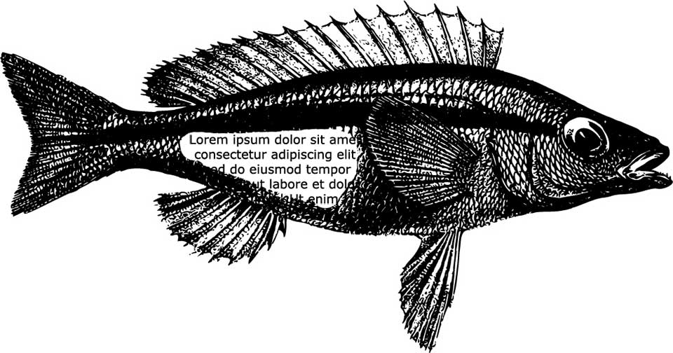 Рыба в тексте